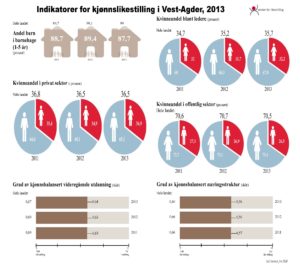 Indikatorer-for-kjønnslikestilling-i-Vest-Agder-20131_Page_2